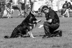 IMG_4608