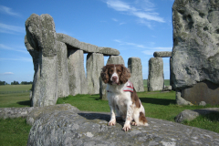 Solstice 2010 004