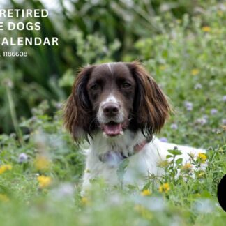 2027 WAGS Calendar