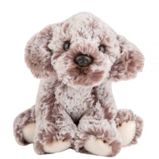 Small Toy Dog - Cockerpoo