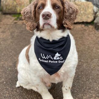 WAGs Dog Bandana
